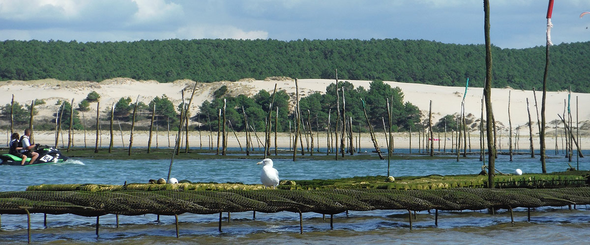 Rendez-vous au château : Le Bassin d'Arcachon et Margaux pour vous